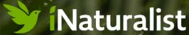 iNaturalist