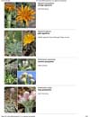 1 photo plant list